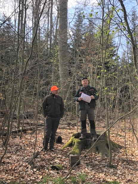 Matthias Beyer und Lars Wollschläger vor Waldbild 2