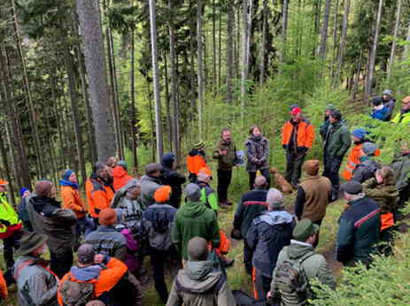 Führung einer Gruppe Förster im Zukunftswald Unterschönau