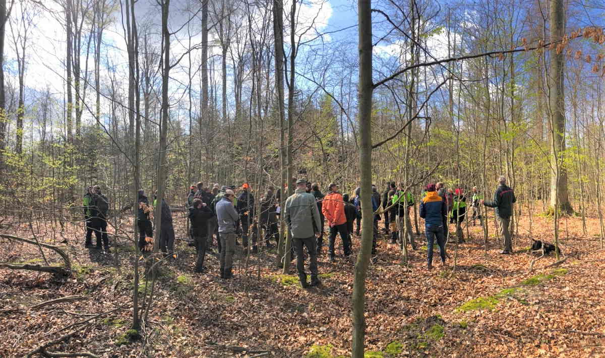 TeilnerhmerInnengruppe in Diskussion im Waldbild 2