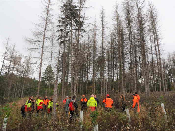 Bild der Exkursionsgruppe vor einer der belassenen Totholzinseln,  welche nach der Kalamität mit Weißtanne „vorangebaut“ worden ist
