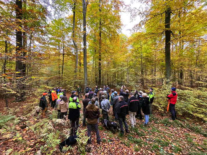 Teilnehmergruppe, die sich im Revier ein Bild vom Buchensterben macht.