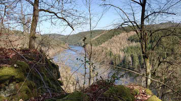 Anhöhe im Burgkwald mit Blick ins Flusstal