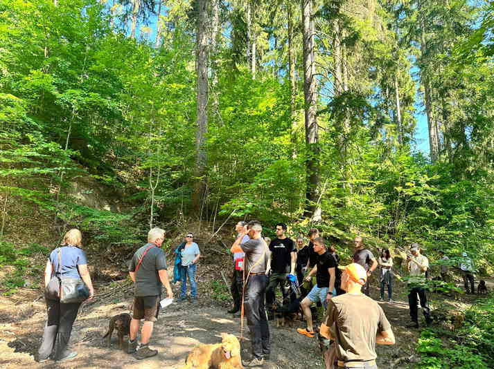 Exkursionsgemeinschaft mit Andre Deglau vor ausdrucksstarkem Waldbild (Foto: K. Bloß)