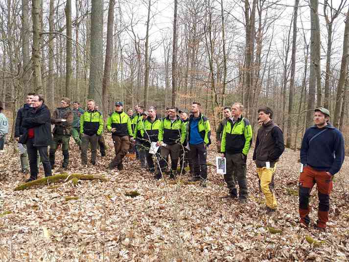 Exkursionsteilnehmer im Stadtwald Heldburg