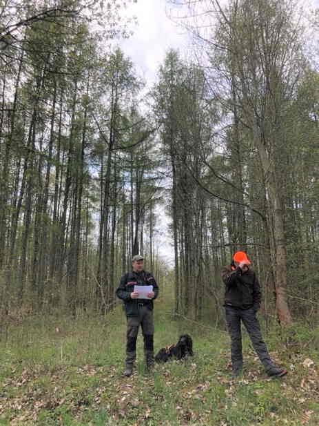 Matthias Beyer und Lars Wollschläger vor Waldbild 3