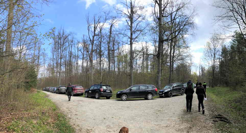 Parkende Autokolonne der TeilnehmerInnen, nahe des Waldbildes 3